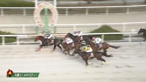 【兵庫ゴールドトロフィー2023】結果・動画/サンライズホークが押し切る