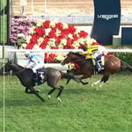 【香港ヴァーズ】勝ったのは仏ジュンコ!ゼッフィーロ2着、レーベンスティールまさか8着