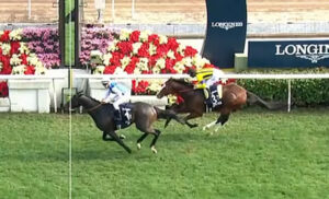 【香港ヴァーズ】勝ったのは仏ジュンコ！ゼッフィーロ2着、レーベンスティールまさか8着