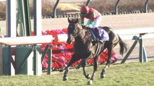 マイネルグロン強すぎワロタ