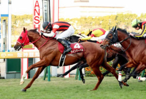 【阪神カップ】4番人気ウインマーベルが追い比べを制し重賞2勝目！G1馬ママコチャは5着