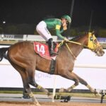 【競馬予想】[2]第69回 東京大賞典(GI/大井)  /2023