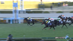 タガノエルピーダ阪神JF勝てたやろこれ