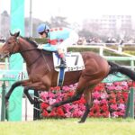 【2歳新馬】ニュージーズ 5馬身差圧勝でワロタwwww