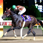 【競馬予想】[1]第69回 東京大賞典(GI/大井)  /2023