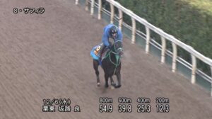 【阪神ジュベナイルフィリーズ2023】追い切り/調教を見てわかる事