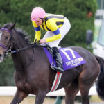 スターズオンアースはルメール、ソールオリエンス川田で有馬記念