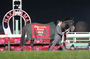 有馬で引退タイトルホルダーは初年度の種付け料350万