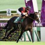 【競馬予想】[1]第40回ホープフルステークス(GⅠ) /2023