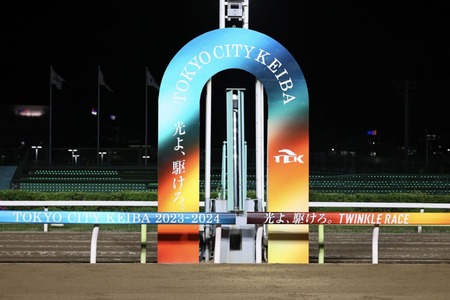 【東京大賞典】キングズソード ウシュバテソーロらJRA選定馬決定