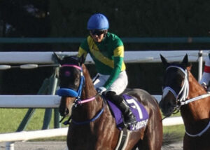 ウィルソンテソーロなんか何をどうやっても絶対買えないよな