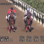 【中日新聞杯2023】追い切り/抜群の動きを見せたのは