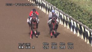 【中日新聞杯2023】追い切り/抜群の動きを見せたのは