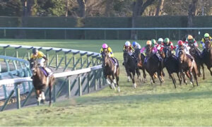 【有馬記念】タイトルホルダーにビビったヤツｗｗｗｗｗ