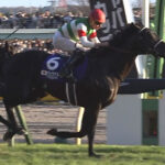 昨年のJC馬ヴェラアズール屈腱炎で引退、優駿SSで種牡馬入り