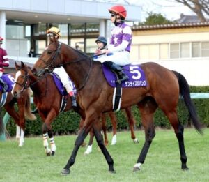 【ホープフルS】13番人気3着サンライズジパング買えたヤツ