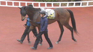 【競馬予想】第9回ターコイズステークス(GⅢ) /2023