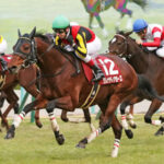 グレナディアガーズ 阪神Cがラストラン 来春に社台SSで種牡馬入り