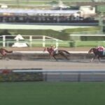 【競馬】カペラSは津村騎乗のテイエムトッキュウがV