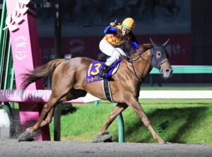 テーオーケインズが引退　アロースタッドで種牡馬入り