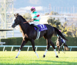 【朝日杯FS】シュトラウス、マーカンド ヤバすぎwww