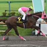 オメガギネス フェブラリーS賞金除外の可能性大www