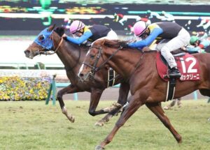 【AJCC】ボッケリーニ (牡8歳) 今日も元気にG2で馬券内