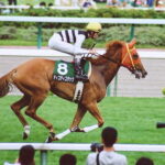 声に出して言いたい競走馬