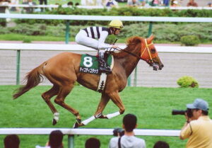 声に出して言いたい競走馬