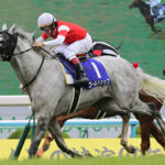 産駒が長距離GⅠ勝てない種牡馬はスタミナがないの?勝った種牡馬はスタミナあるの?