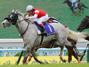 産駒が長距離GⅠ勝てない種牡馬はスタミナがないの？勝った種牡馬はスタミナあるの？