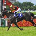 ぶっちゃけ能力>適性だよな