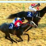 日本競馬が1970~80年代の黄金期の輝きを取り戻す方法