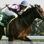 【競馬】ジャックドールさん静かに今年終戦