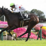 【愛知杯】1番人気ミッキーゴージャスが人気に応えV!3連勝重賞初制覇