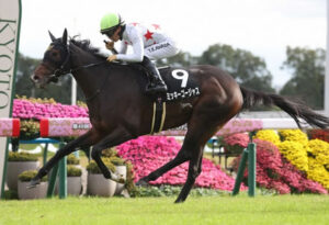 【愛知杯】1番人気ミッキーゴージャスが人気に応えV！3連勝重賞初制覇