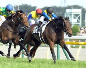 一番好きなハナ差決着