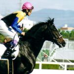 どうしてブラックタイド系統からは1頭しか名馬が生まれないのか