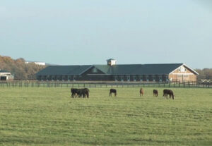 2024年のリーディングサイヤーランキングを予想するスレ