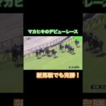 マカヒキの新馬戦!無関係な強さを見せつける