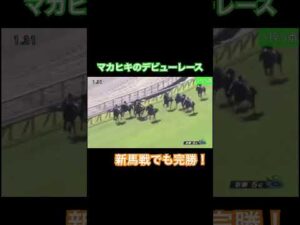 マカヒキの新馬戦！無関係な強さを見せつける