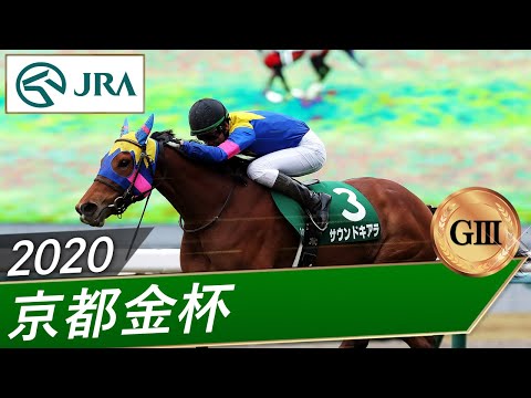 2020年 京都金杯（GⅢ） | サウンドキアラ | JRA公式