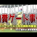 【競馬】命を張ってる馬の人生を狂わせた競馬史上最悪の事件