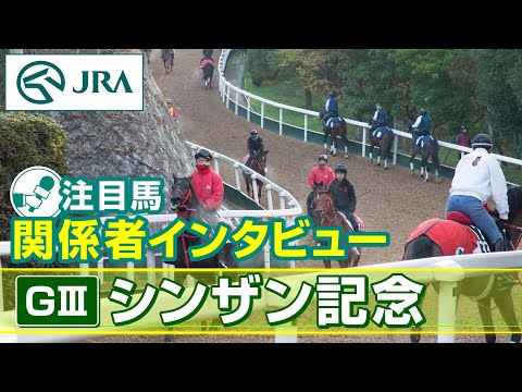 【注目馬 関係者インタビュー】2024年 シンザン記念｜JRA公式