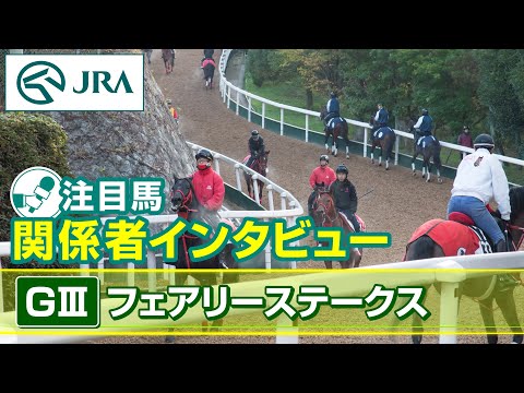 【注目馬 関係者インタビュー】2024年 フェアリーステークス｜JRA公式