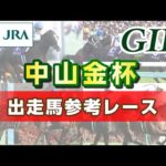 【参考レース】2024年 中山金杯|JRA公式