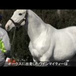 【競馬】ゴルシステップ2023はアナウンスが終わった途端ウッキウキw