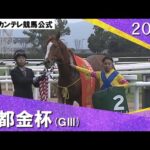 2024年 京都金杯(GⅢ) コレペティトール 実況:川島壮雄【カンテレ公式】
