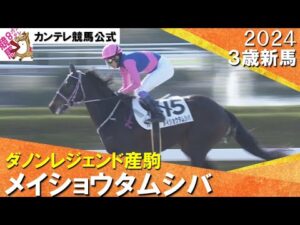 《2024年 新馬》武豊騎手「本気で走り切っていないけど能力は高い」メイショウタムシバが５馬身差の圧勝！　1月7日(日)京都ダート1800ｍ　実況：石田一洋【カンテレ公式】