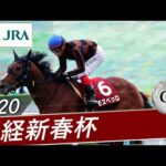 2020年 日経新春杯(GⅡ) | モズベッロ | JRA公式